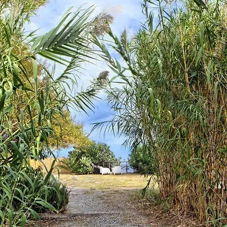 Sulla Di